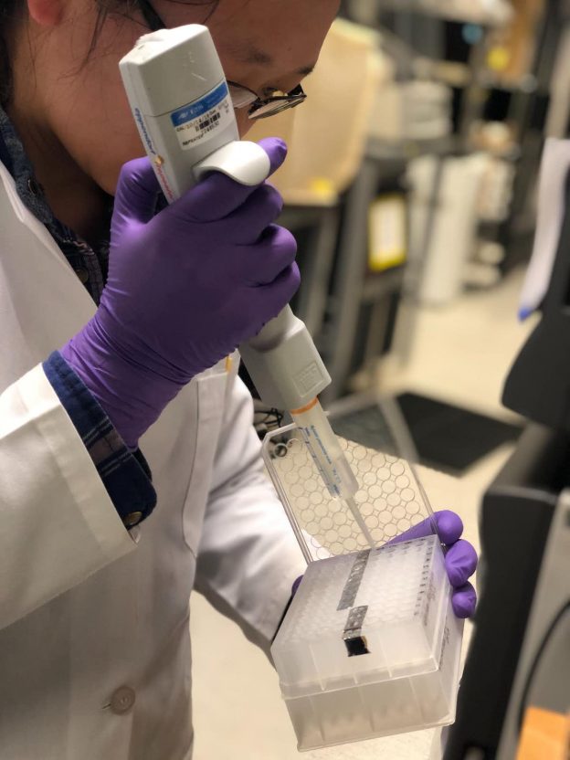 Группа ученых нашла и протестировала 47 существующих препаратов, которые могут лечить коронавирус