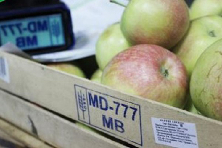 Россия вводит ограничения для молдавских фруктов и овощей. В Кишиневе заявили, что эти действия  не обоснованы