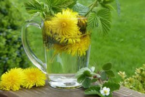 Польза чая из одуванчиков