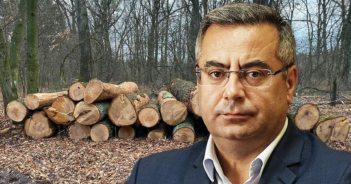 "Молдавские леса вырубаются обманщиками всех мастей" и отправляются на экспорт - представитель Национального парка «Орхей»