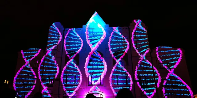 Как славяне преобразили Европу: у 80% населения Центральной и Восточной Европы прародители - славяне с Востока Как славяне преобразили Европу: у 80% населения Центральной и Восточной Европы прародители - славяне с Востока