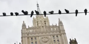 Ученые создали для Путина голубей-шпионов с мозговыми чипами Ученые создали для Путина голубей-шпионов с мозговыми чипами