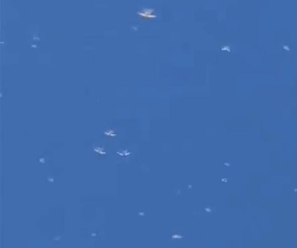 Саранча Китай 2