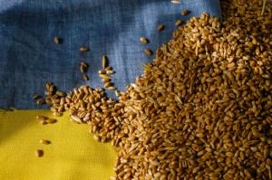 Украину обвиняют в том, что она маскирует свое зерно под молдавское, чтобы обойти эмбарго