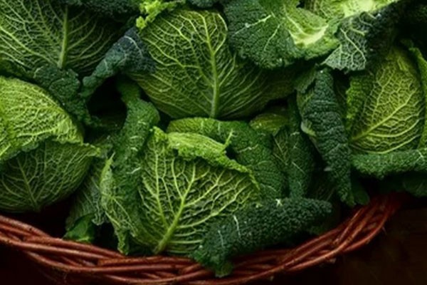 Продукты, выводящие никотин из организма человека