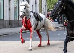 Текущие события пронизывает оккультная символика?