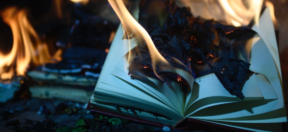 Не пощадят никого:  свержение памятников, символическое сжигание книг, уничтожение фильмов с полицейскими,  “деколонизация домашней  книжной полки“ – в мире началась «культурная революция»