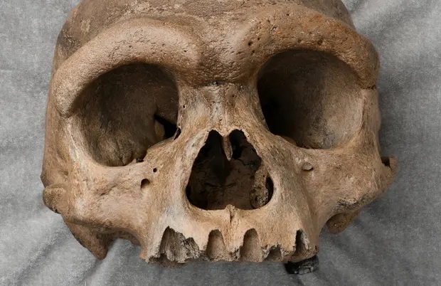 The Guardian: Огромный человеческий череп из  китайского колодца заставляет ученых переосмыслить эволюцию