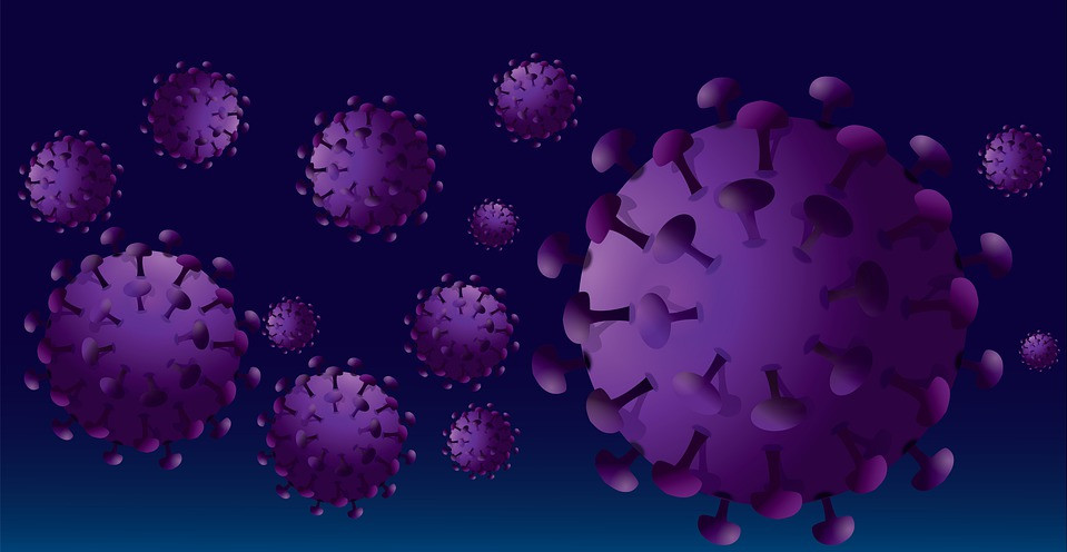 «Не верьте цифрам, которые вы видите»: профессор университета Джона Хопкинса говорит, что до 500 000 американцев уже имеют коронавирус Коронавирус 39