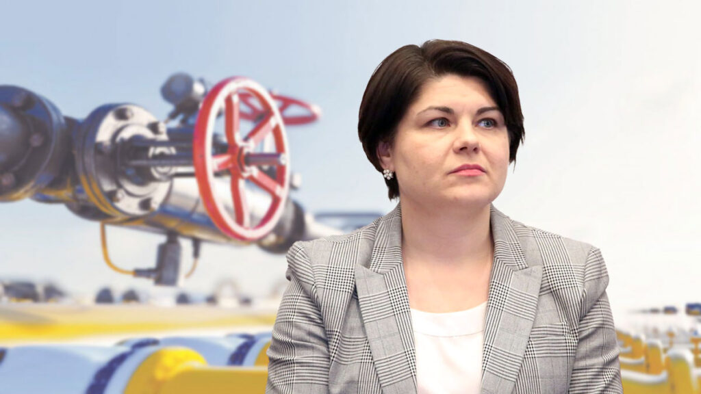 Гаврилица газ