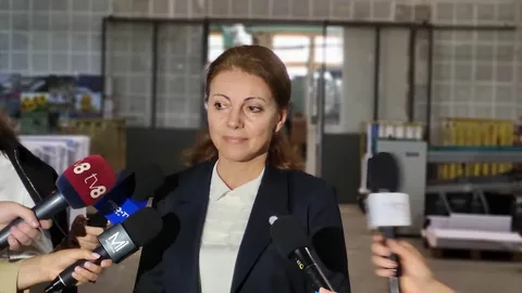 Глава ЦИК Молдавии заявила о праве стран ЕС вмешиваться в выборы в республике