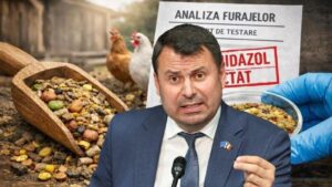 Оппозиционный политик обвинил Санду и ее "кентов" в уничтожении куриного мяса  и замены его импортом из Украины