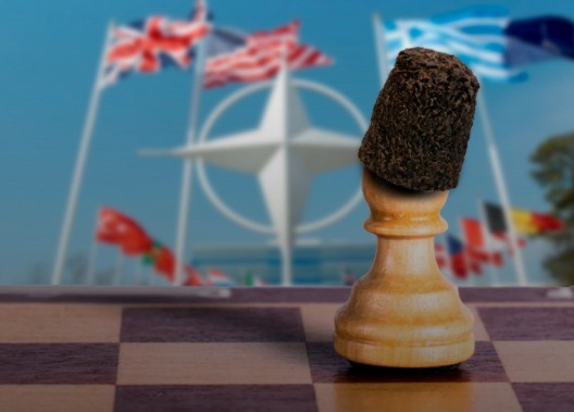 Новый план партнерства Молдова-НАТО: за гранью нейтралитета