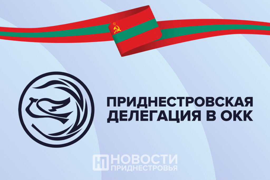 Приднестровская делегация обратилась в ОКК по поводу выборов в Молдове