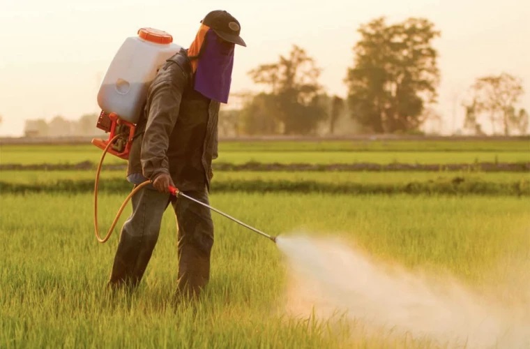Ежегодно в Молдове используется более двух тысяч тонн пестицидов