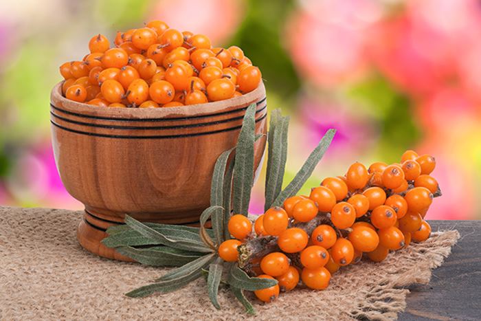 Регулярное употребление этой оранжевой ягоды спасет от рака
